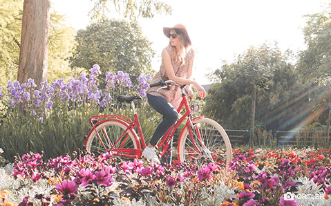 Ortler - Kategorie-Header