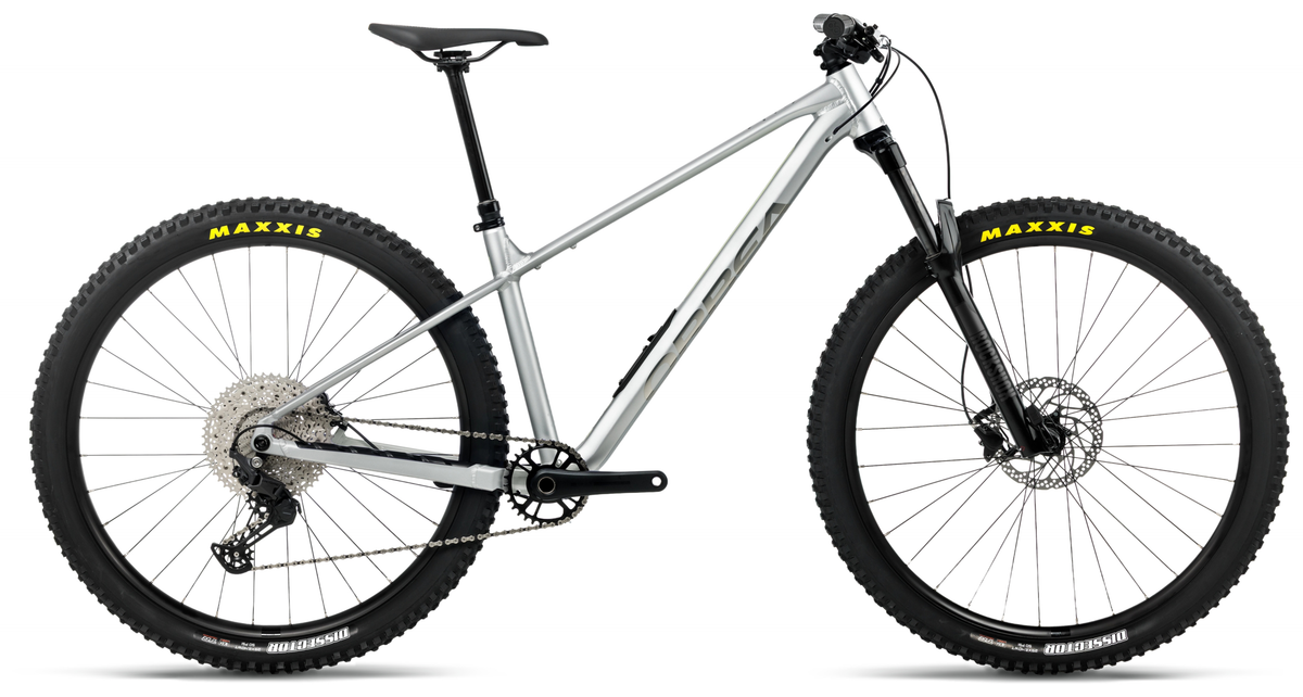 Orbea LAUFEY H30 Smooth Silver (Matt) - Titanium (Gloss) (2027)