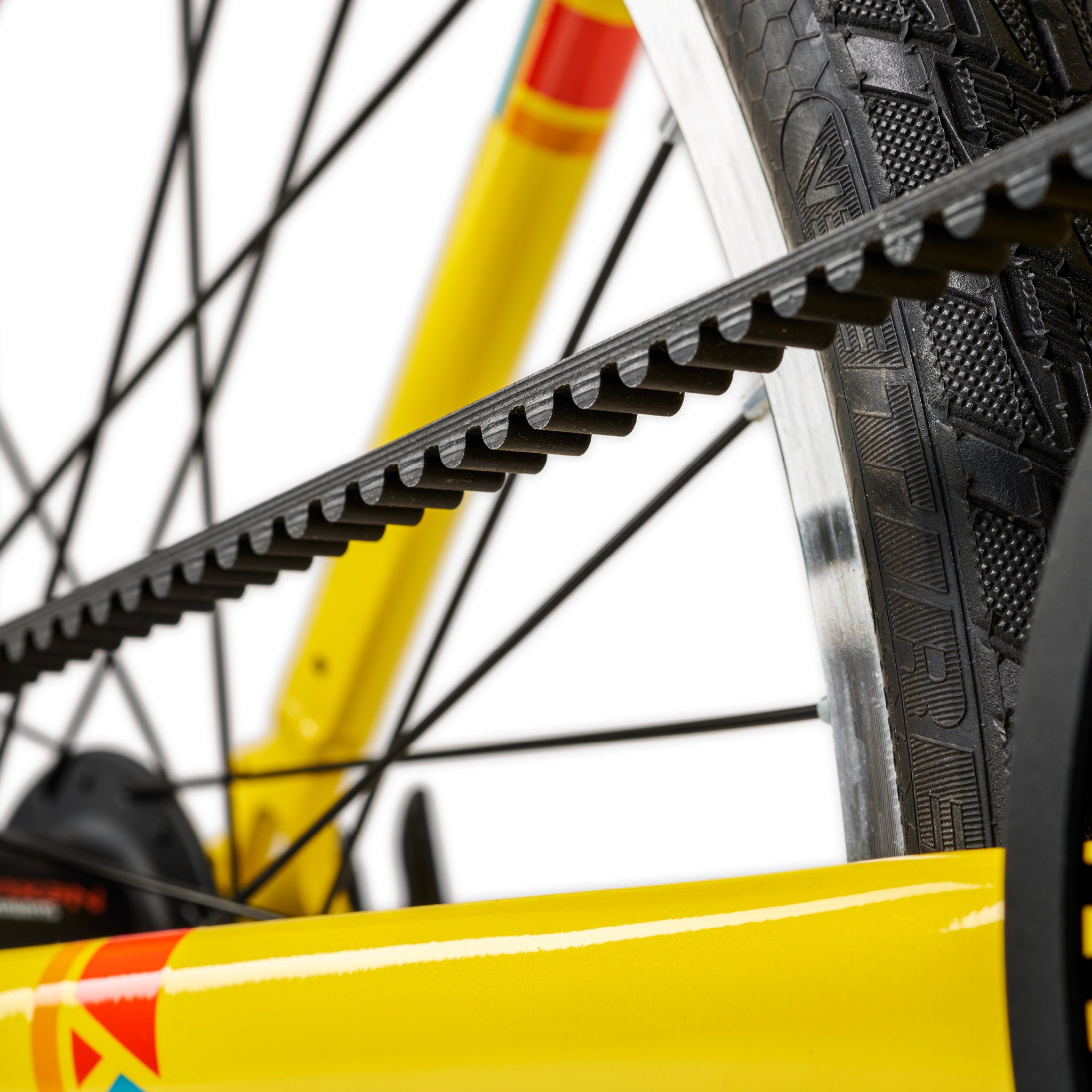 ACADEMY Grade 5 Belt 24