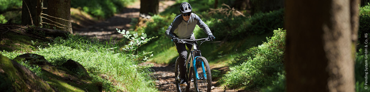 Mounainbikes Kategoriebild