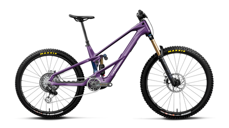 Orbea WILD LT M-LTD RS MULLET Royal Plum-Noctiluca C.View (Gloss) (2027)