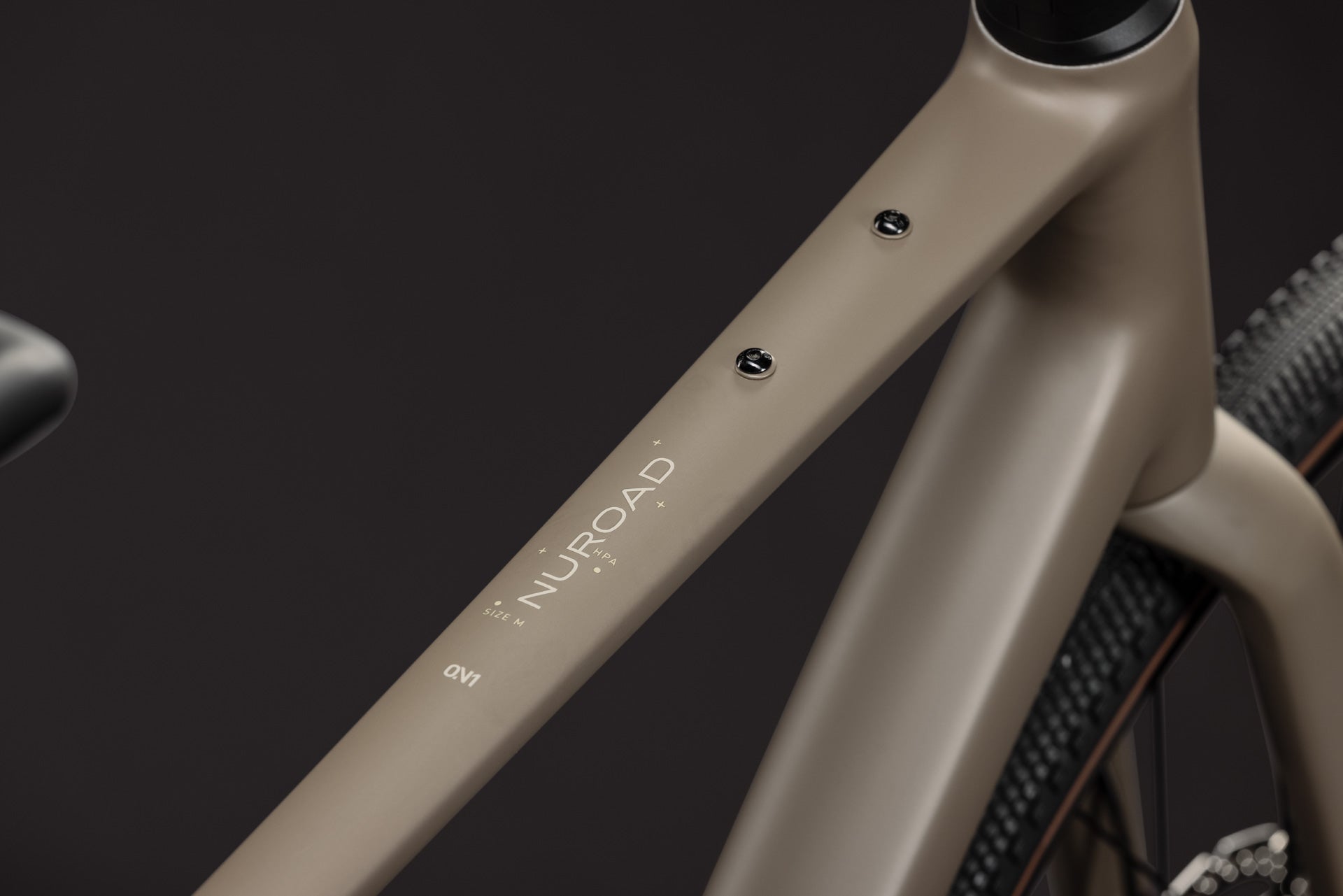 Cube Nuroad ONE  wood´n´grey (2027)