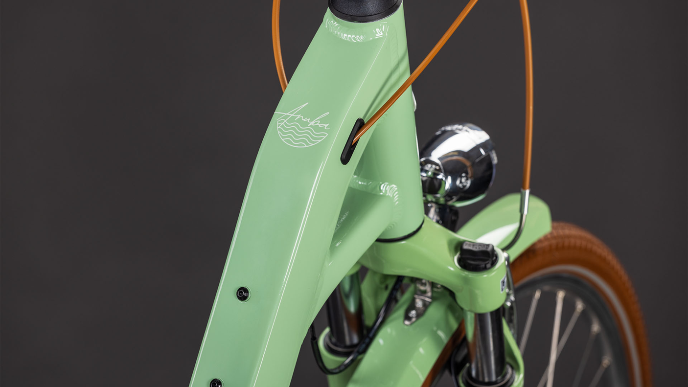 Cube Aruba Wave cactus´n´brown (2026)