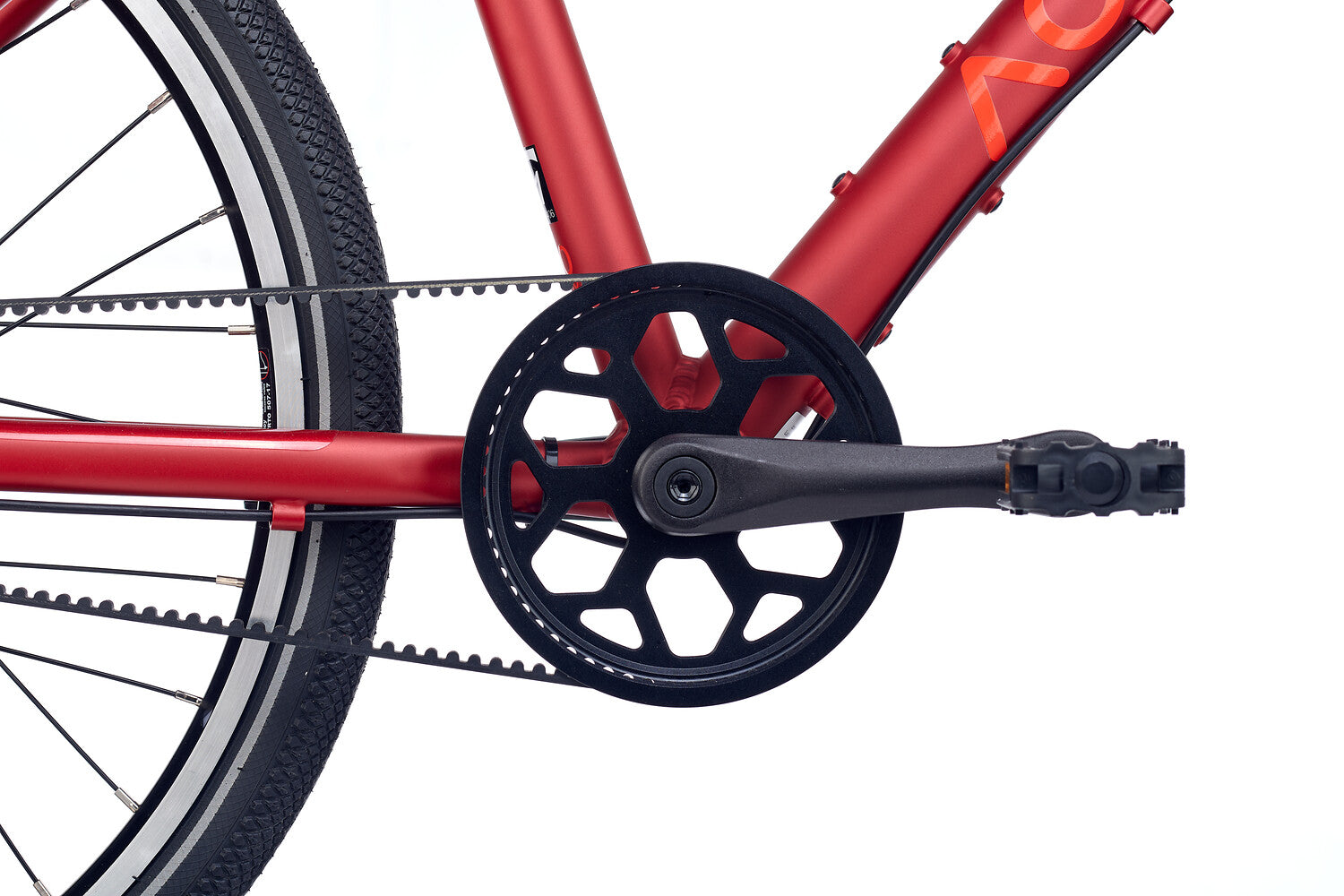 ACADEMY Grade 5 Belt 24