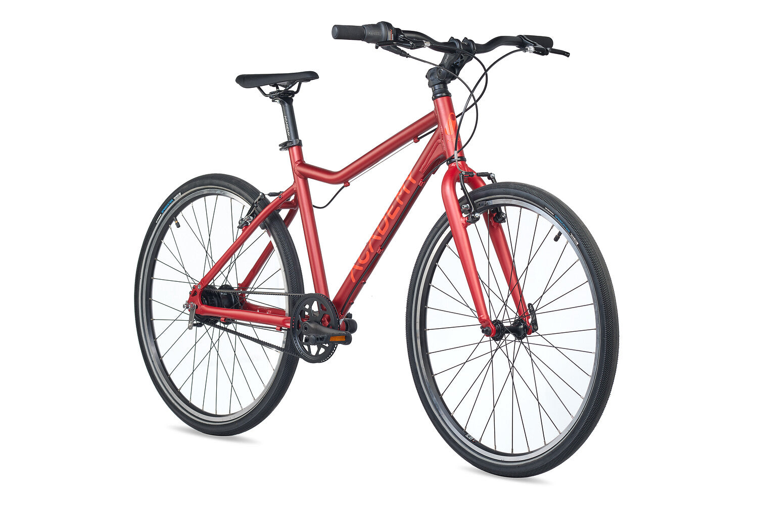 ACADEMY Grade 6 Belt 26