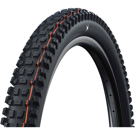 Schwalbe ALBERT TRAIL PRO SOFT Radial E-50 29" Tubeless Ready schwarz