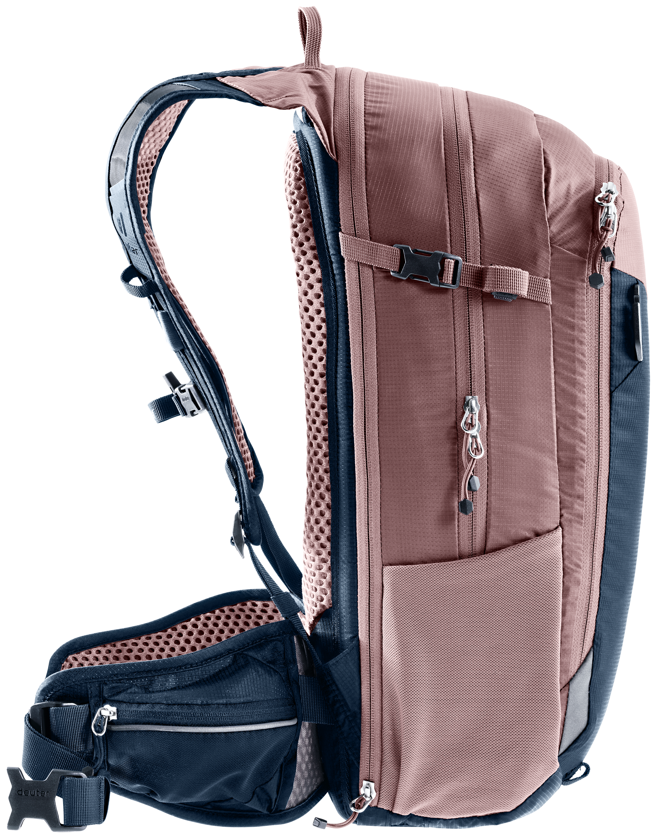 deuter Compact 14+3 Fahrradrucksack ink-ashrose