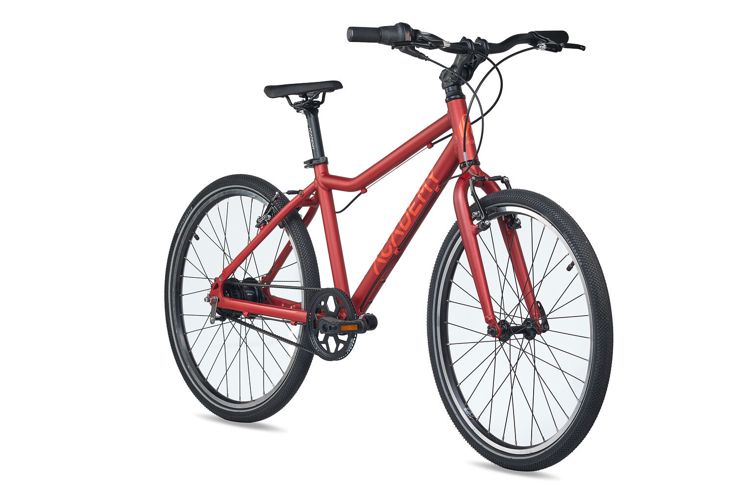 ACADEMY Grade 5 Belt 24