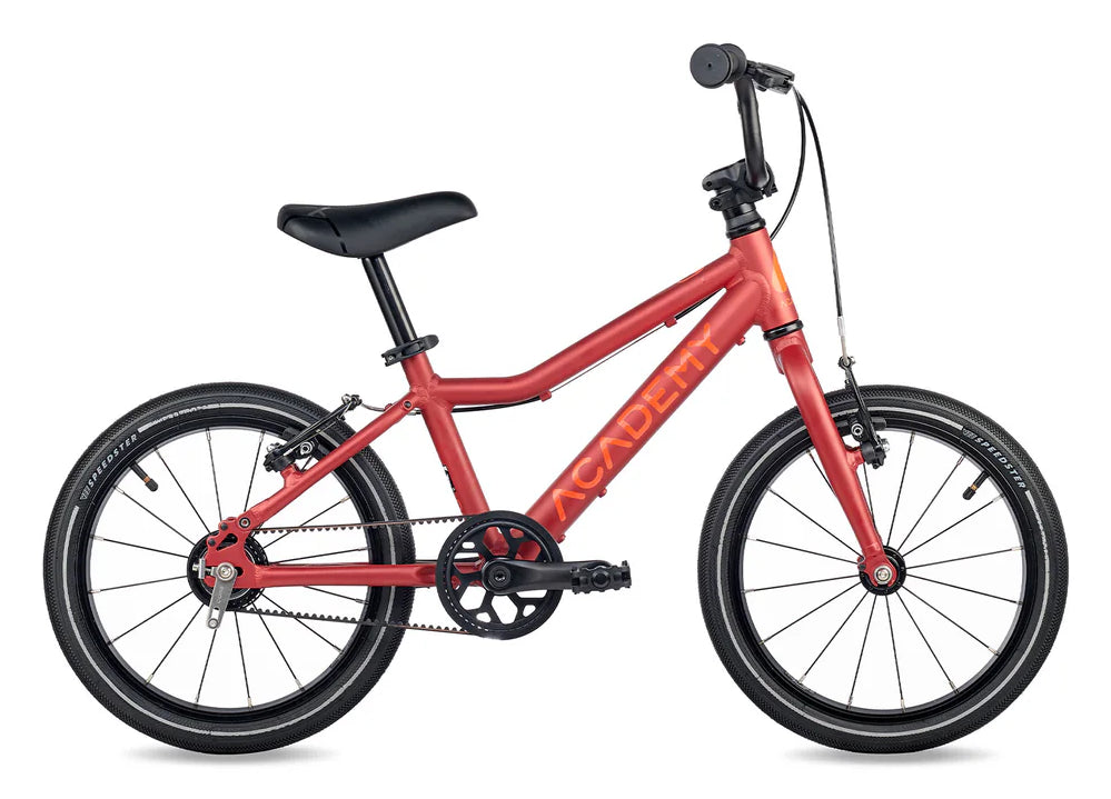 Academy Grade 3 Belt 16