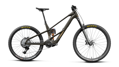 Orbea WILD LT M20 MULLET Magic Gold C. View (Matt) - Titan Gold (Gloss) (2027)