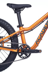 Academy Trail 4 R 20 Zoll Mountainbike  Amber (2027)