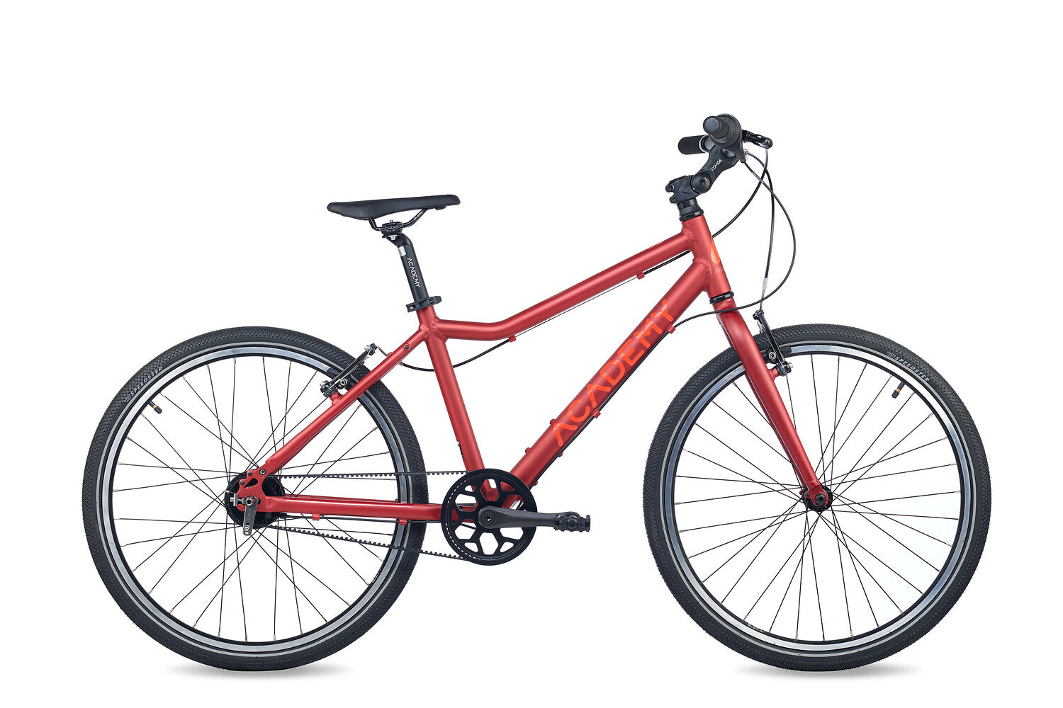 ACADEMY Grade 5 Belt 24