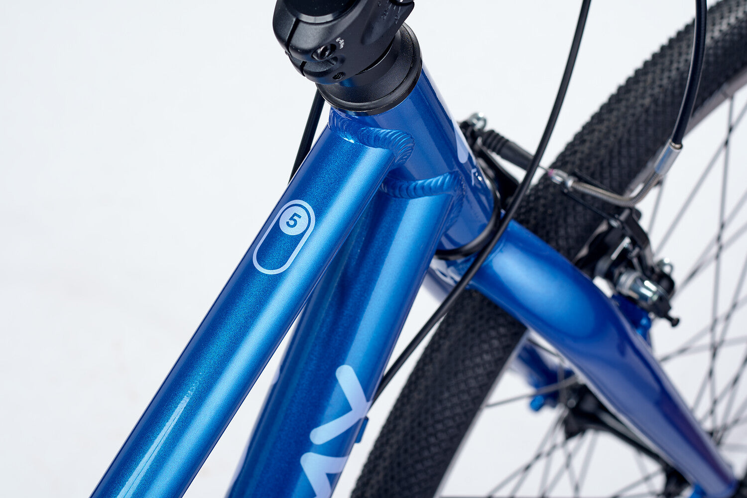 ACADEMY Grade 5 Belt 24