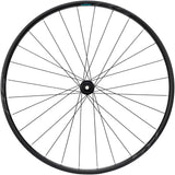Shimano WH-RS171 Hinterrad 28" Centerlock 12x142mm schwarz