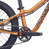 Academy Trail 4 R 20 Zoll Mountainbike  Amber (2026)