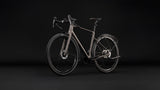 Cube Nuroad C:62 Pro FE cedar´n´stone (2027)