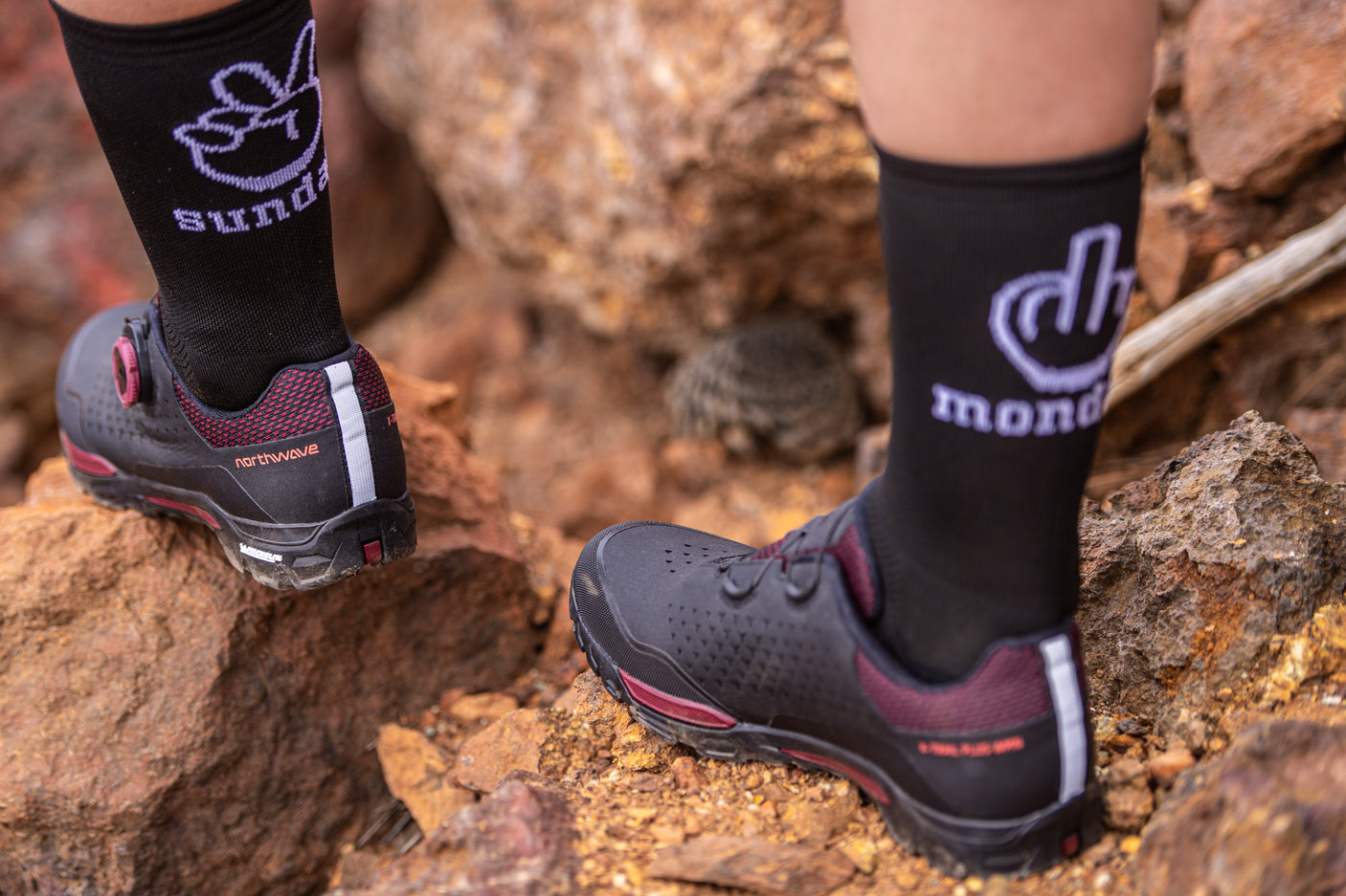 Northwave Sunday Monday Sock Black