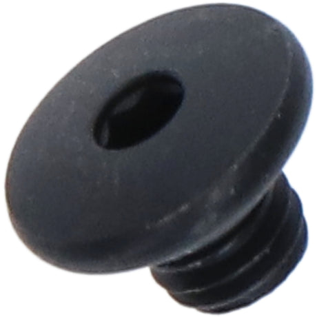 Shimano Entlüfterschraube mit Dichtung für BL-M785