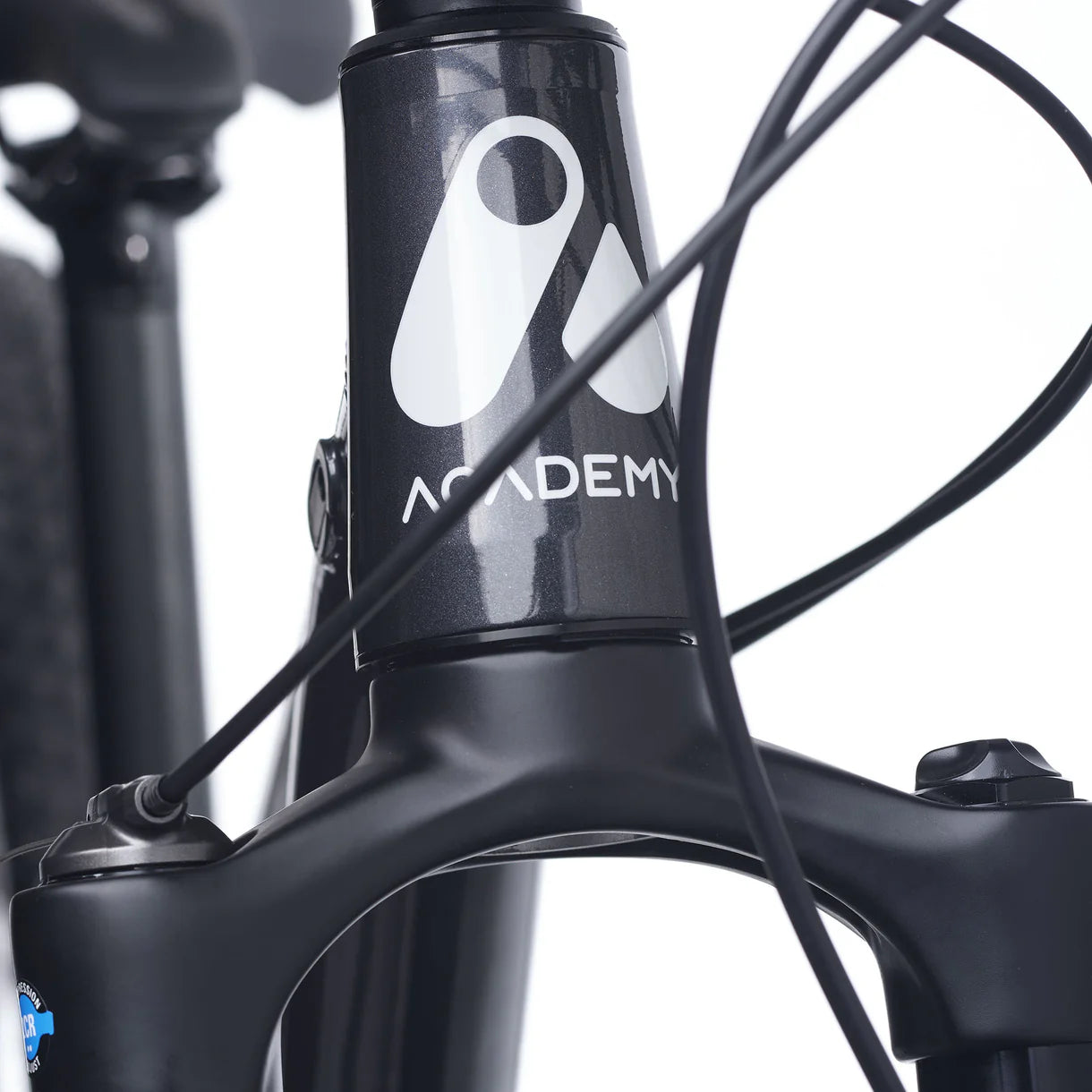 Academy  Trail 7 27,5