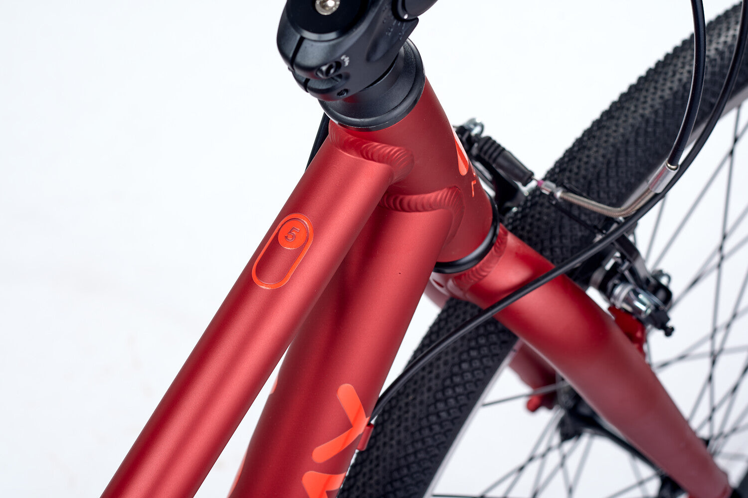 ACADEMY Grade 5 Belt 24