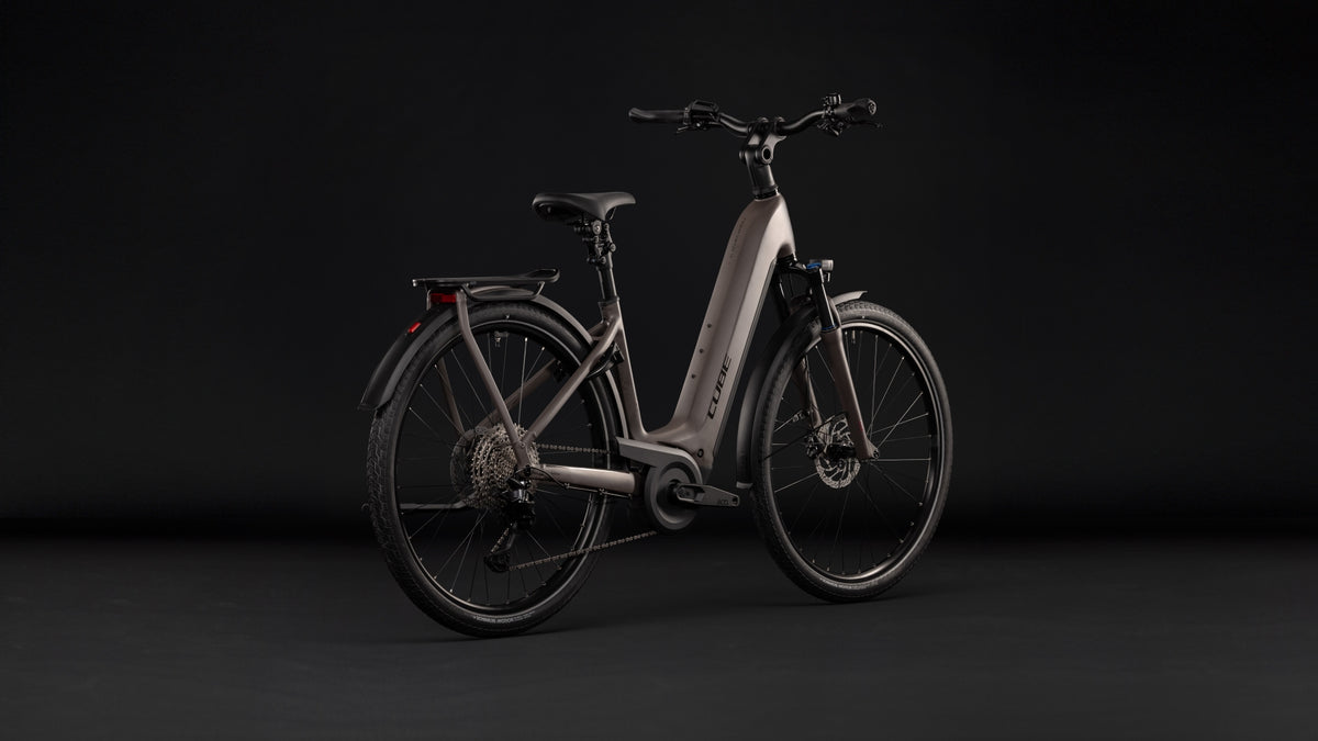 Cube Kathmandu Hybrid ONE 800 Easy Entry cedar´n´chrome (2027)