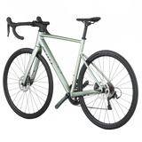 Scott Speedster 20 reseda green (2026)