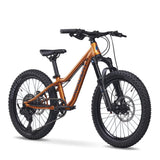 ACADEMY Trail 4 20" Amber (2026)