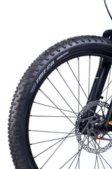 ACADEMY Trail 5 24" Amber (2026)