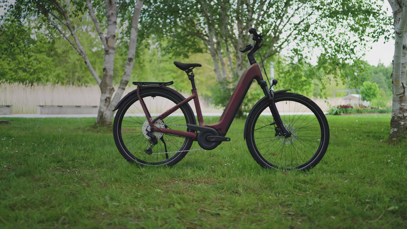 Cube Kathmandu Hybrid Pro 800 Easy Entry coal´n´black (2026)